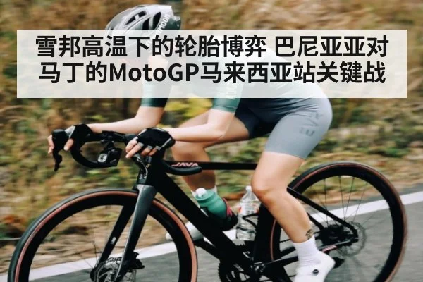 雪邦高温下的轮胎博弈 巴尼亚亚对马丁的MotoGP马来西亚站关键战